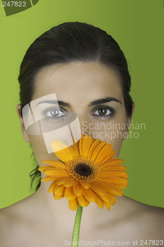 Image of Spring time