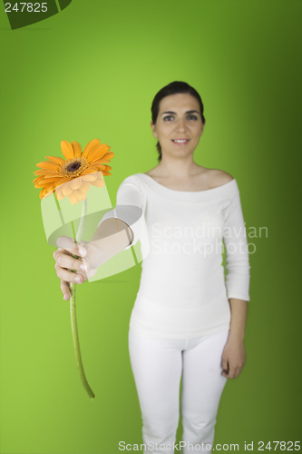 Image of One flower to you