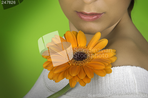 Image of Spring time