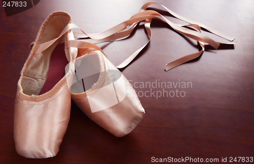 Image of Ballet Shoes