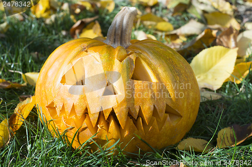 Image of Pumpkin on grass and autumn leaves