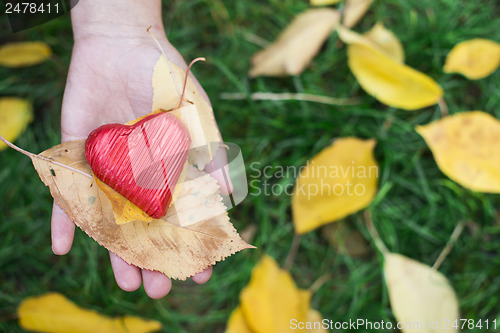 Image of Hand holding Red heart and autumn leafs