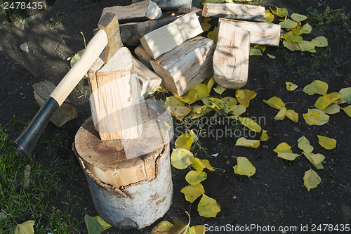 Image of Ax chopping wood on chopping block