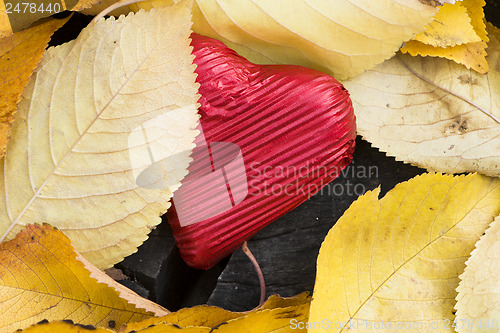 Image of Red wrapped heart and autumn leafs