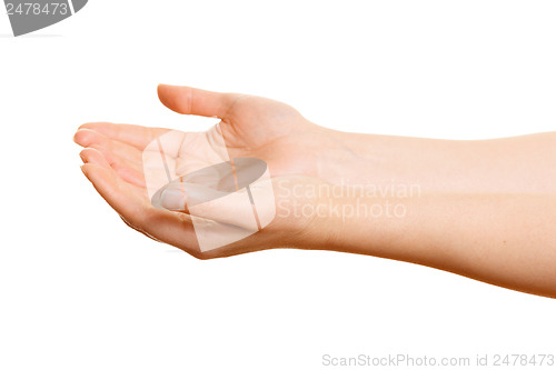 Image of Woman's hands holding something on a white