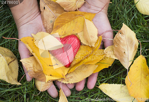 Image of Hand holding Red heart and autumn leafs