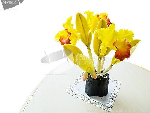 Image of yellow orchid