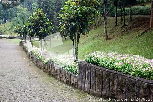 Image of Mae Fah Luang Garden,locate on Doi Tung, Chiangrai Province, Tha