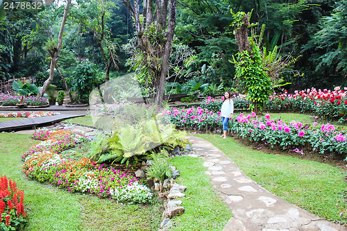 Image of Marigold flower at Mae Fah Luang Garden,locate on Doi Tung,Thailand