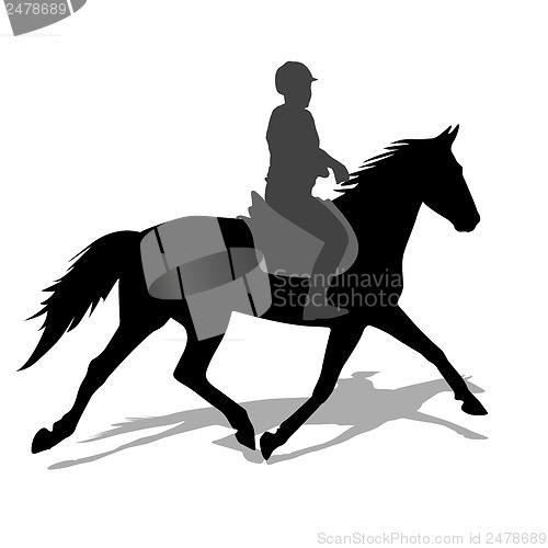 Image of vector silhouette of horse and jockey