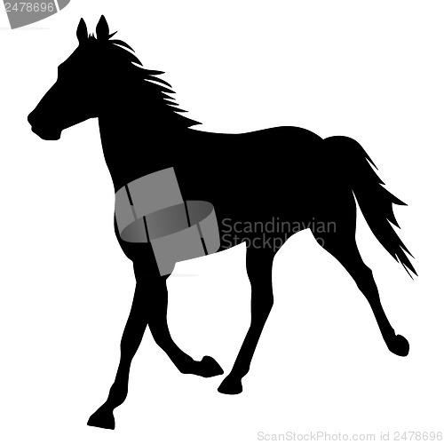 Image of vector silhouette of horse