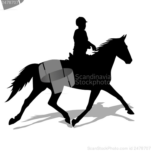 Image of vector silhouette of horse and jockey