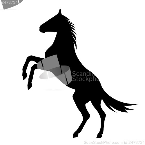Image of rearing up horse  vector silhouette