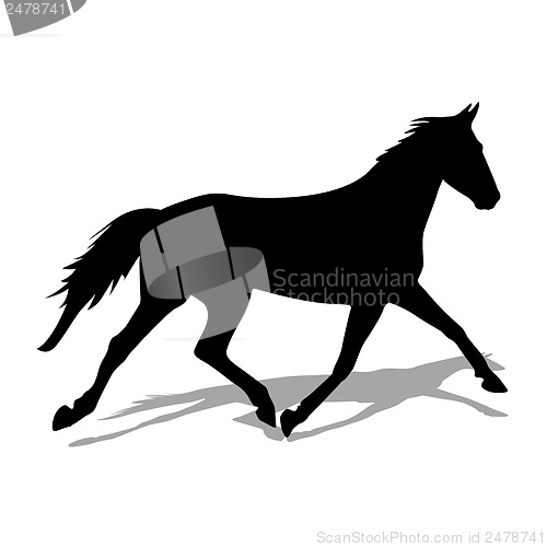 Image of vector silhouette of horse