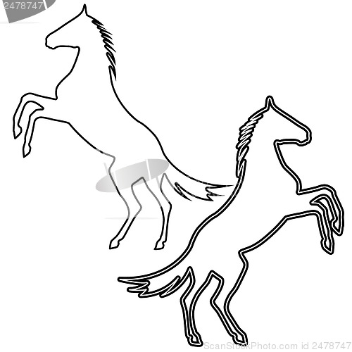 Image of rearing up horse  vector silhouette