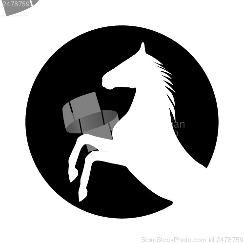 Image of rearing up horse  vector silhouette