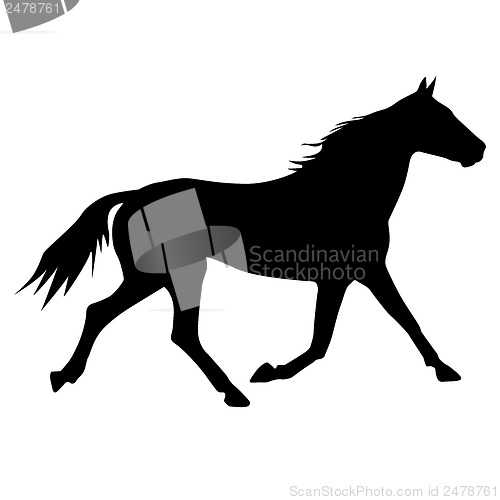 Image of vector silhouette of horse