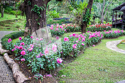 Image of Mae Fah Luang Garden,locate on Doi Tung, Chiangrai Province, Tha