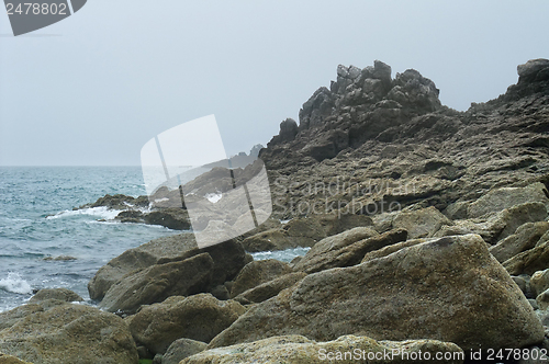 Image of rocky coast detail