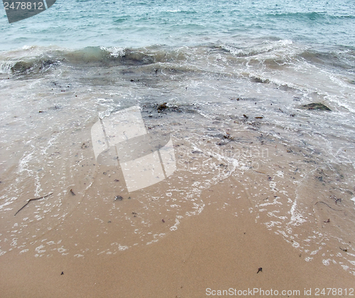 Image of rocky coast detail