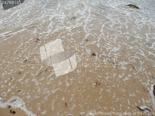 Image of rocky coast detail