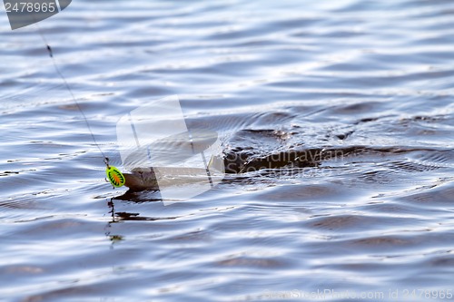 Image of pike fishing