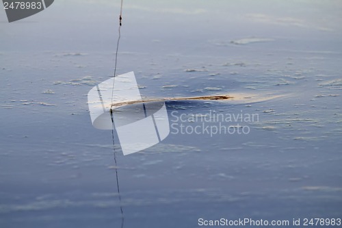 Image of pike fishing