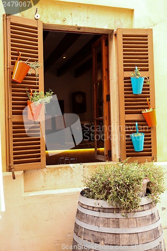 Image of fresh green different herbs and flowers on window outdoor 