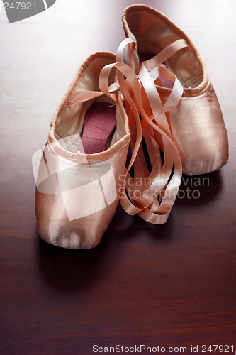 Image of Ballet Shoes