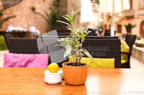 Image of table flower decoration in cafe restaurant outdoor in summer