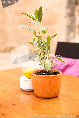 Image of table flower decoration in cafe restaurant outdoor in summer