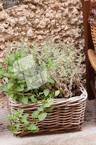 Image of fresh green different herbs and flowers on window outdoor 