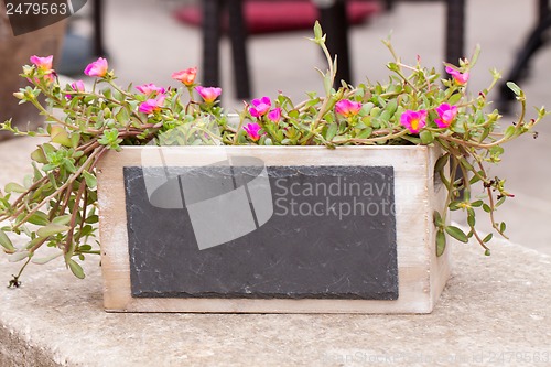 Image of small chalkboard copyspace in decorative flower pot outdoor