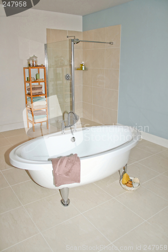 Image of Shower and bath