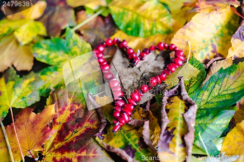 Image of Love Autumn