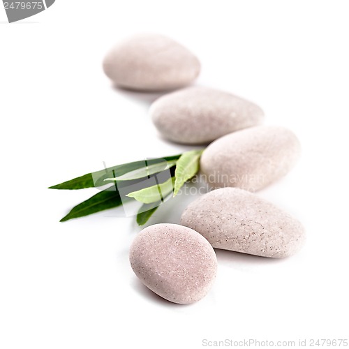 Image of green leaf and stones