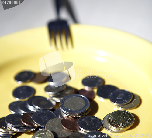 Image of Euro coins in a plate