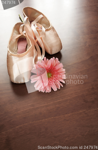 Image of Ballet Shoes and Flower