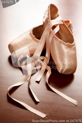 Image of Ballet Shoes
