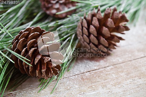 Image of christmas fir tree with pinecones