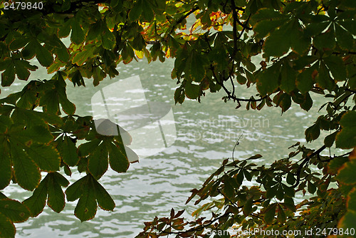 Image of Water in window leaves.