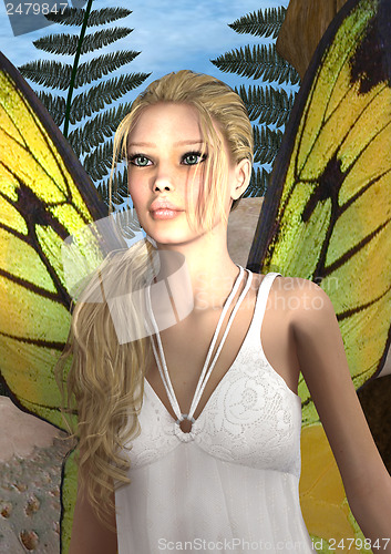 Image of Fairy Butterfly