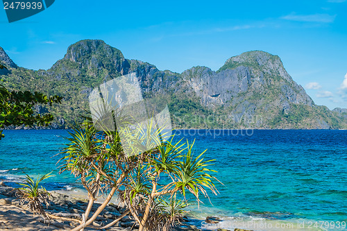 Image of Scenic sea shore with mountains