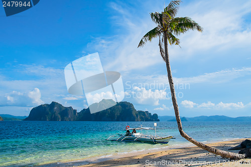 Image of Tropical landscape