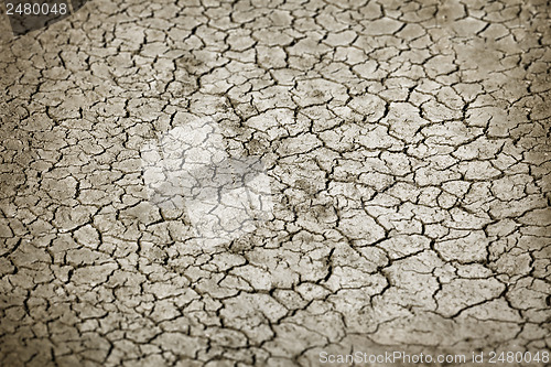 Image of Cracked earth in dry season