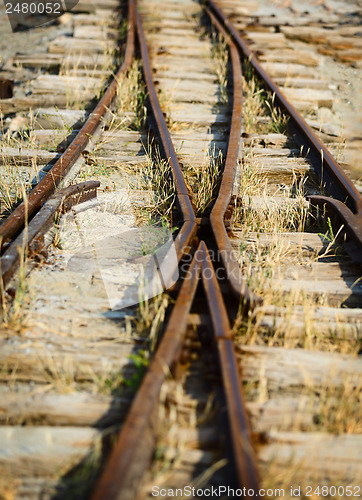 Image of Switch on the old narrow-gauge railway