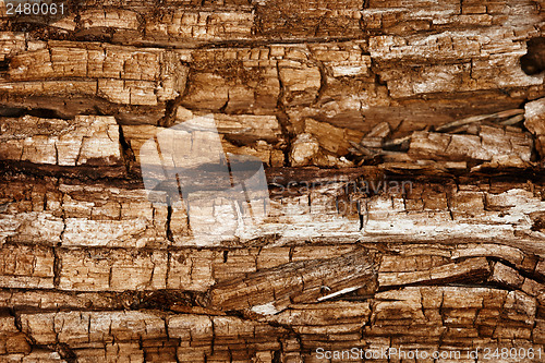 Image of Completely rotted wood