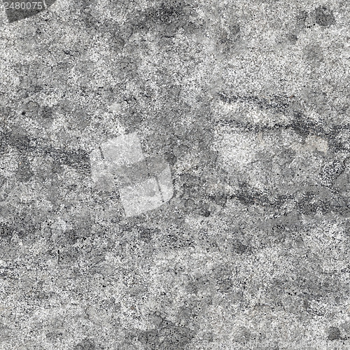 Image of Seamless texture - granite rock with lichen