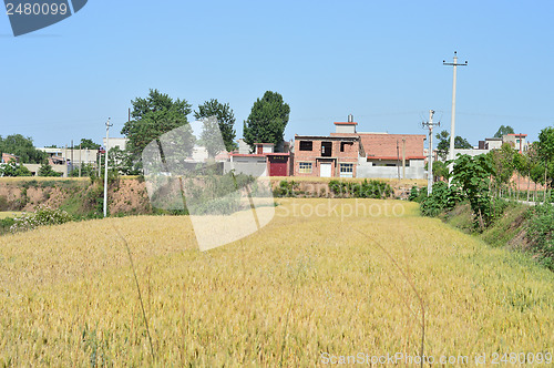 Image of Chinese countryside 