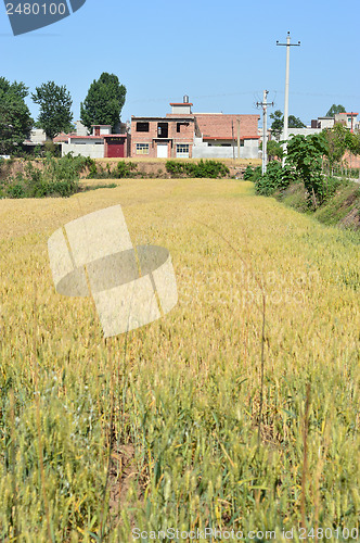 Image of Chinese countryside 